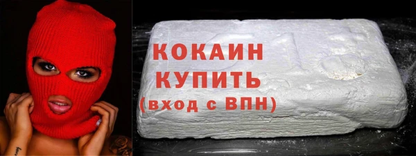 гашик Верея