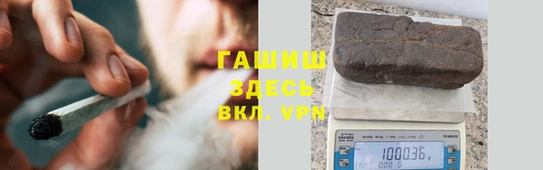 гашик Верея