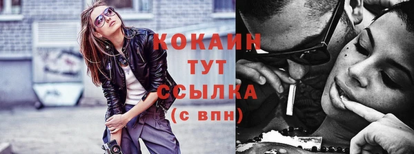 гашик Верея