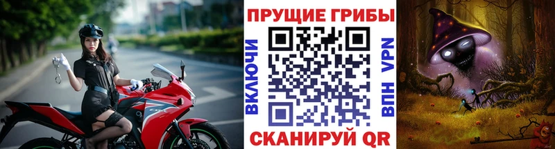 Купить закладки  Краснотурьинск  Галлюциногенные грибы мицелий 